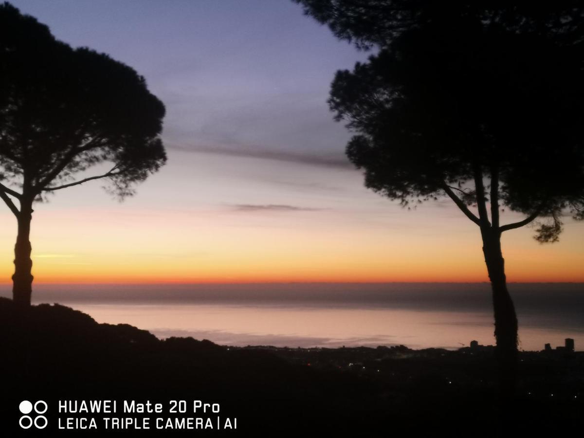 Villa Maresme & Villa Rosa Mataró Eksteriør billede